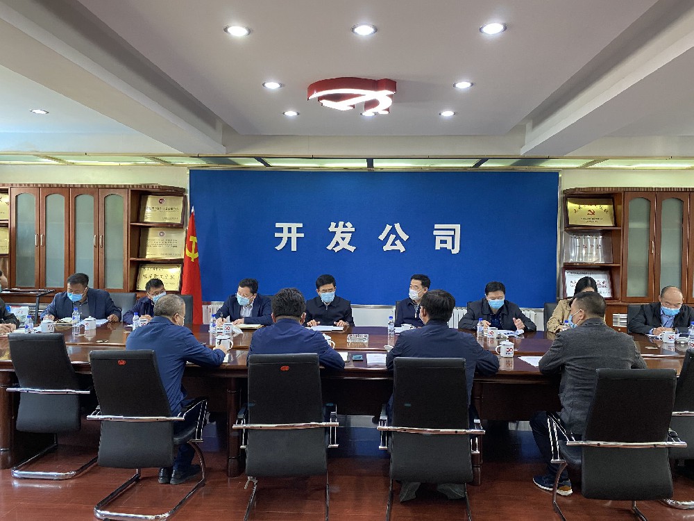 松辽委党组书记、主任齐玉亮一行到开发公司 调研指导工作