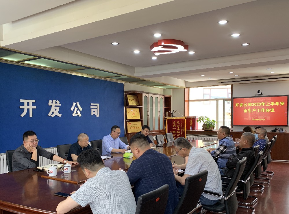 开发公司组织召开2023年上半年安全生产工作会议暨“水利重大事故隐患专项排查整治” 专题动员部署会